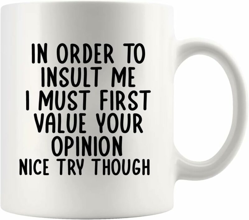 In Order To Insult Me I Must First Value Your Opinion Sarcastic Gifts to Friends Coworkers Sarcasm Novelty DrinkwareCeramic Mug 11 oz White