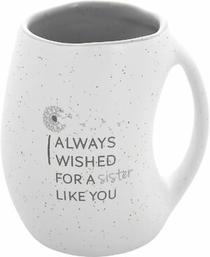 Pavilion Gift Company - I Always Wished For A Sister Like You 16 ounce Large Coffee Cup - Hand Warmer Coffee Mug, Huggable Hand Warming Mug, Sister Gift Ideas, Sister Mug, Gray