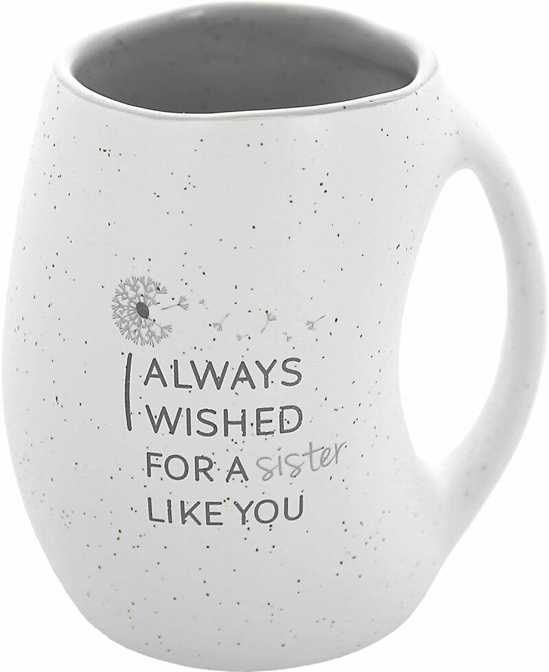 Pavilion Gift Company - I Always Wished For A Sister Like You 16 ounce Large Coffee Cup - Hand Warmer Coffee Mug, Huggable Hand Warming Mug, Sister Gift Ideas, Sister Mug, Gray