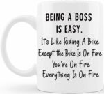 Being A Boss Is Easy Funny Gag Gift Ideas for Bosses at The Office Male Female Work Boss Lady Gifts for Men Women Employee Coworkers Staff Entrepreneur Business Owner Friends...