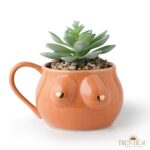 BIEN BEAU Speckled Ceramic Female Form Mug with golden heart nips, White Elephant Gift, Funny Large Coffee Boob Cup, Feminist Gift, Perfect for Bachelorette Parties, Christmas,...