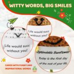 Gifts for Women Men Emotional Potato Pickle: 3Pcs Funny Crochet Dolls Christmas Stocking Stuffers Friends Coworkers Roommates College Students Sister with Cheer Up Cards...