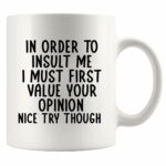 In Order To Insult Me I Must First Value Your Opinion Sarcastic Gifts to Friends Coworkers Sarcasm Novelty DrinkwareCeramic Mug 11 oz White