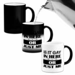 Is It Gay in Here Or Just Me LGBT Color Changing Black to White Mug Coffee Tea Cup Inspirational Quotes Heat Activation Mug for Graduation Anniversary Christmas Gift 11oz